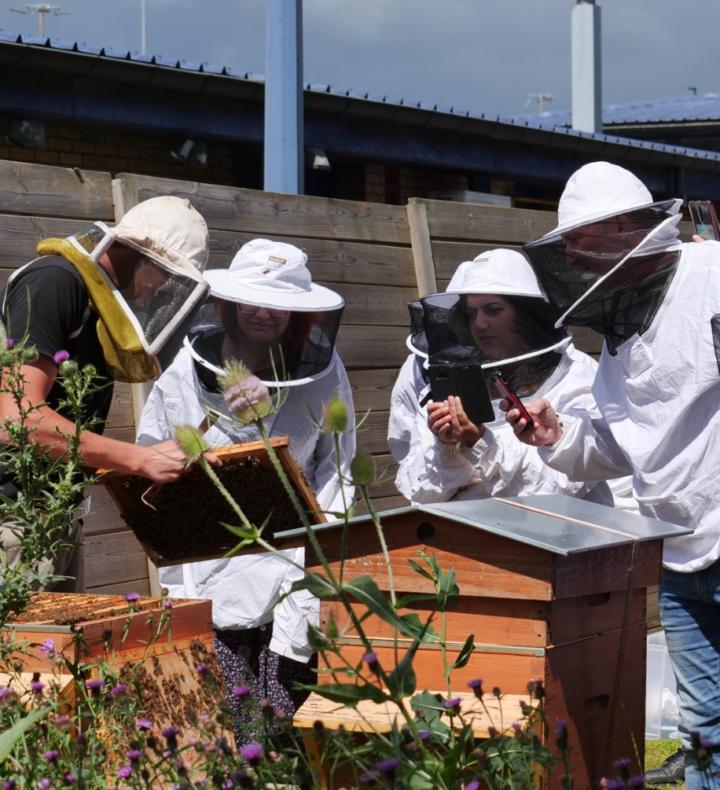 Ouverture pédagogique de ruches
