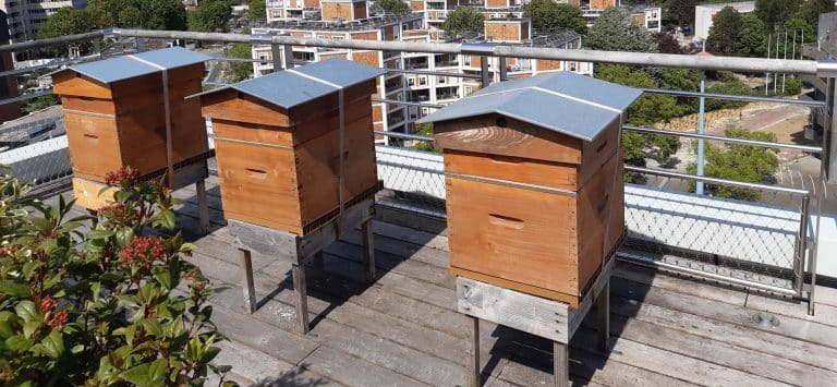 Projex Villeneuve d'Ascq