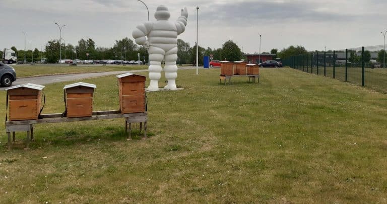Michelin Rouvignies