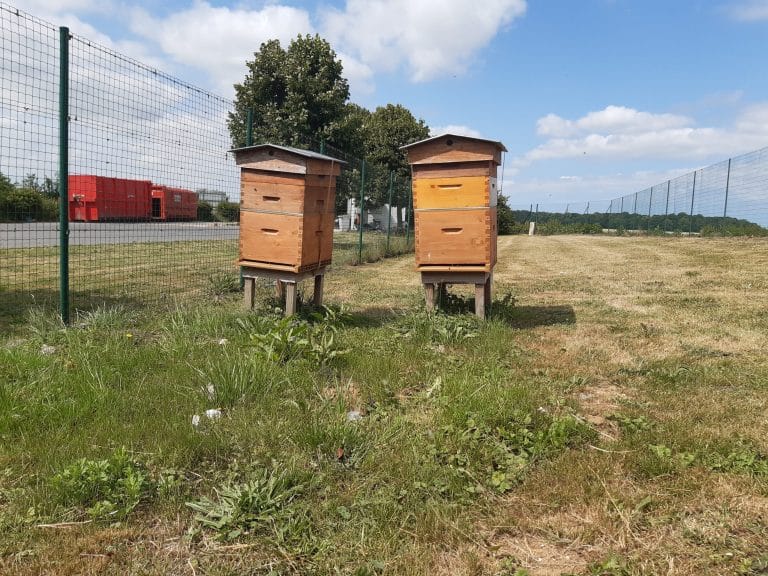SEDE Véolia Régnière Ecluse