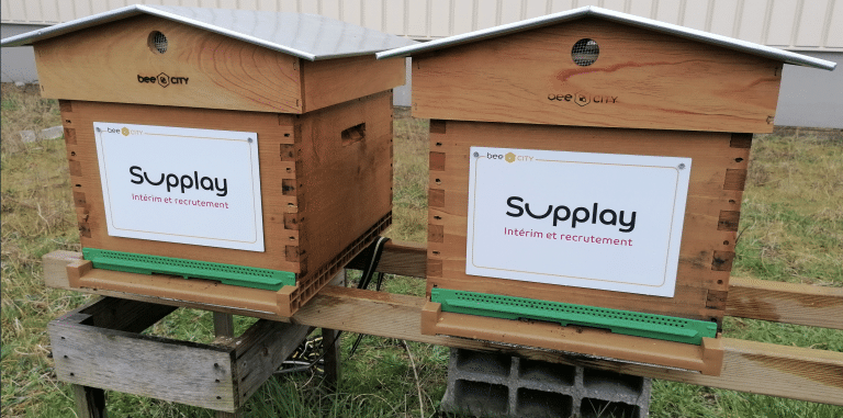Supplay