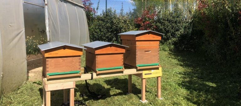 CEF Le Marquisat