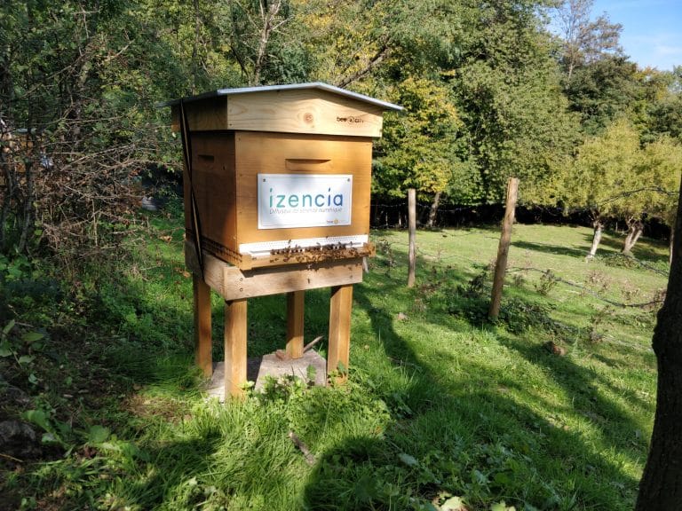 Izencia - Bee zencia