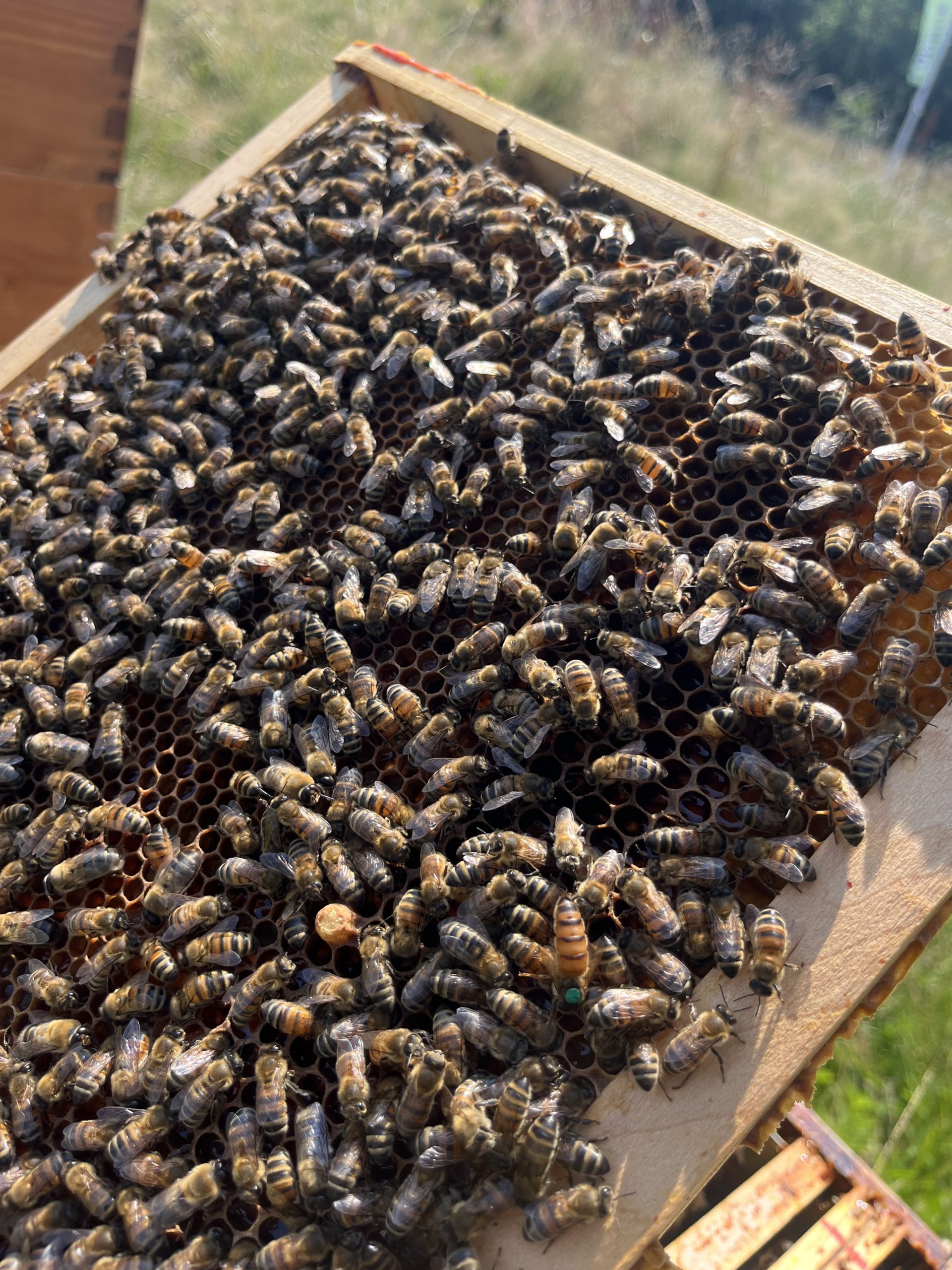 Visite du 27/06