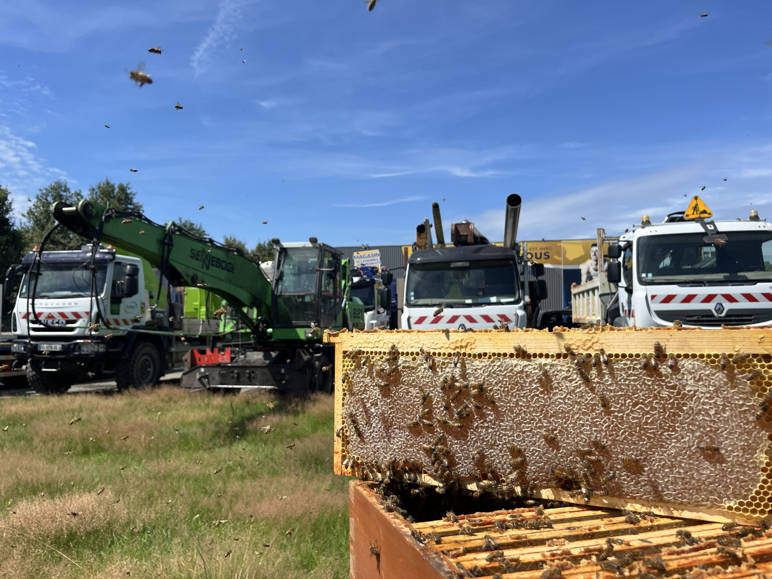 Visite du 25/07