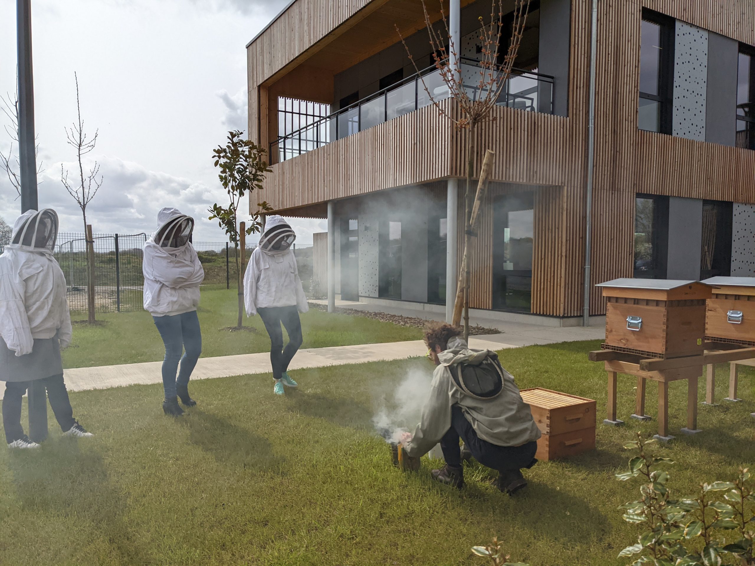 Installation des ruches !