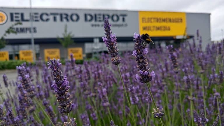 Electro Dépôt Faches Thumesnil