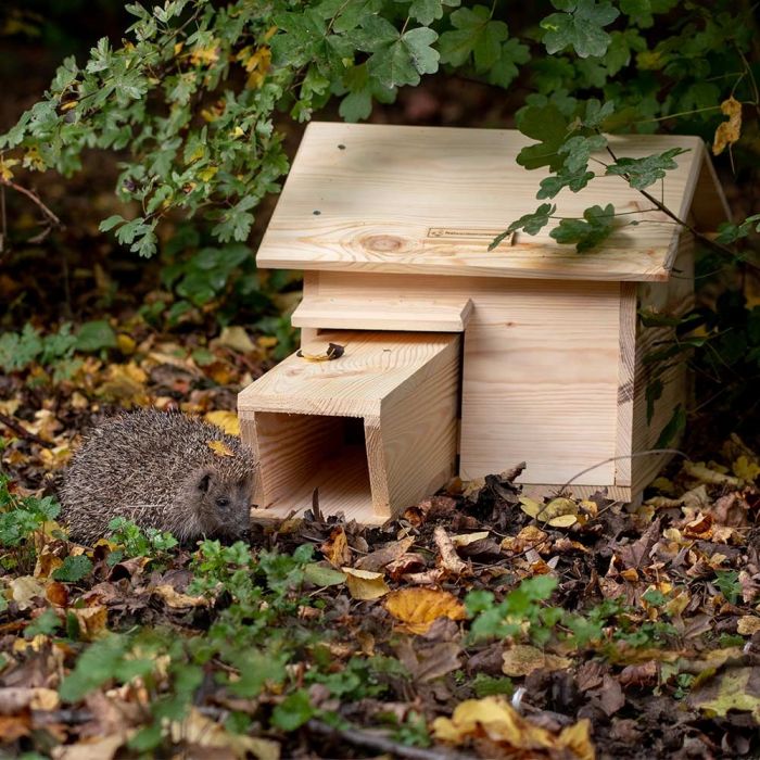 Gîte à hérisson installé dans un aménagement biodiversité