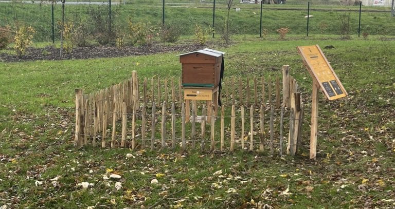limagrain-scaled
