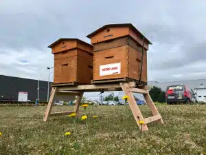 Ruches d’entreprise parrainées par BEECITY