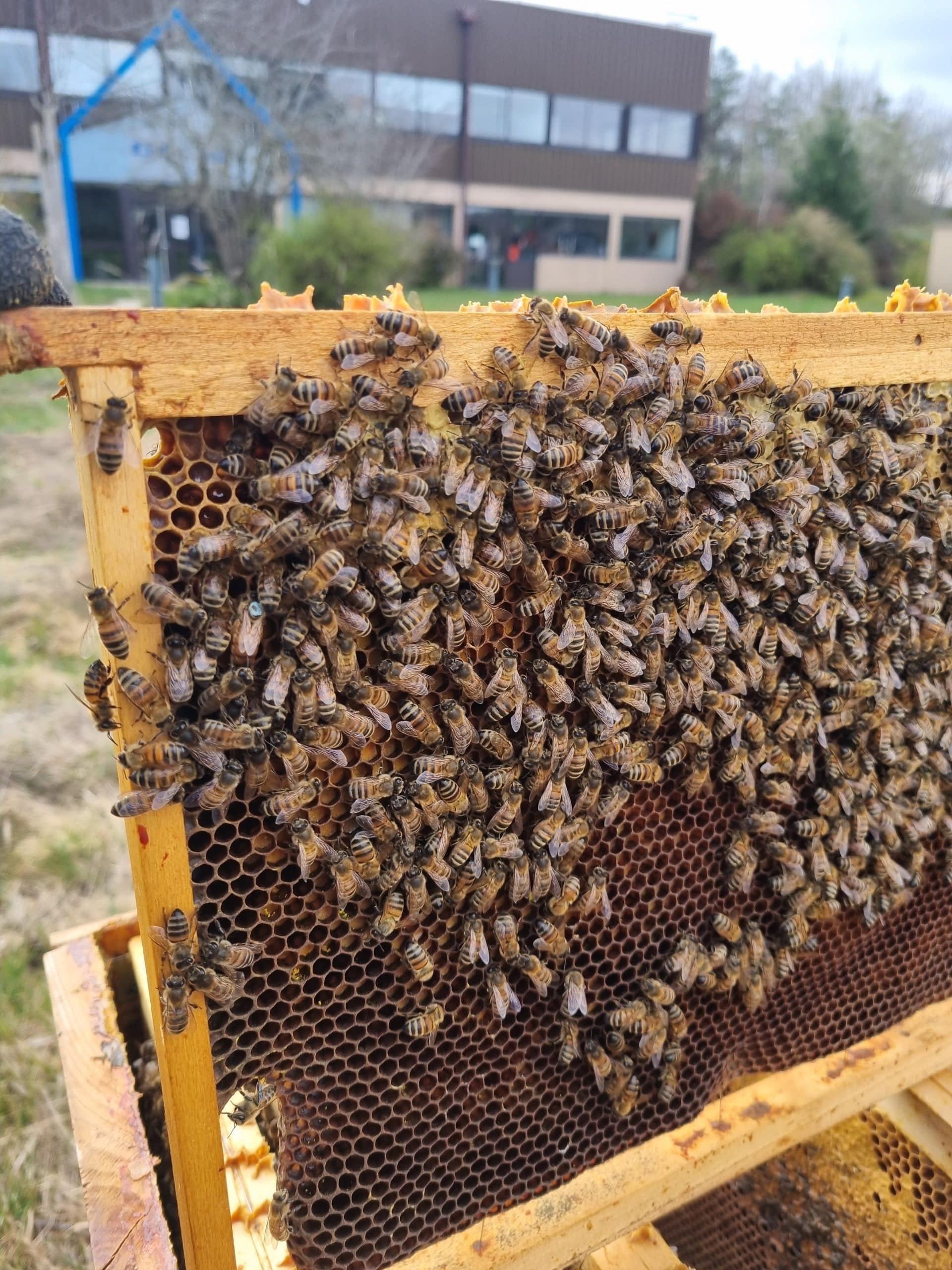 1ere visite de l'année !