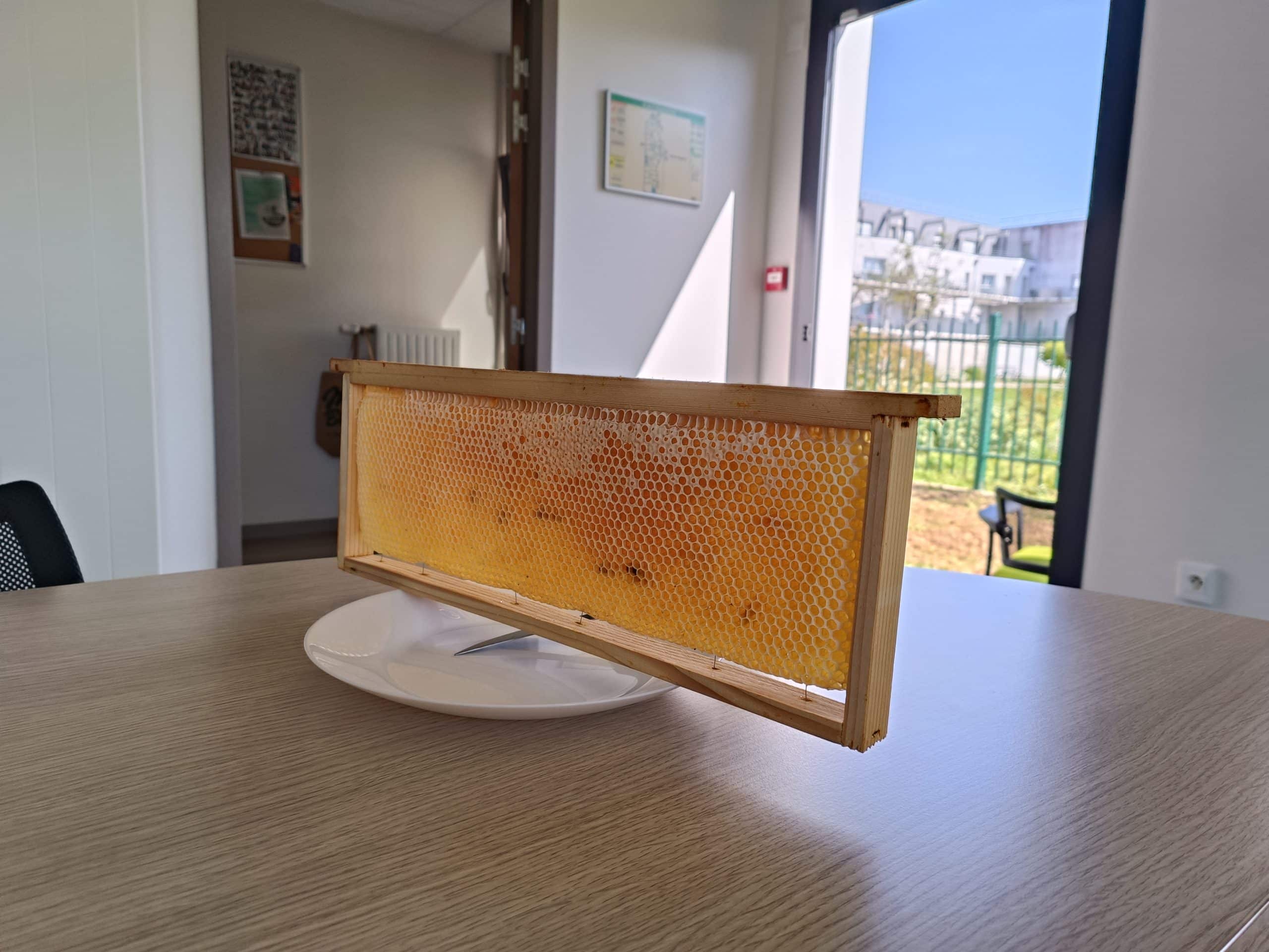 Degustation miel Orne Habitat 1