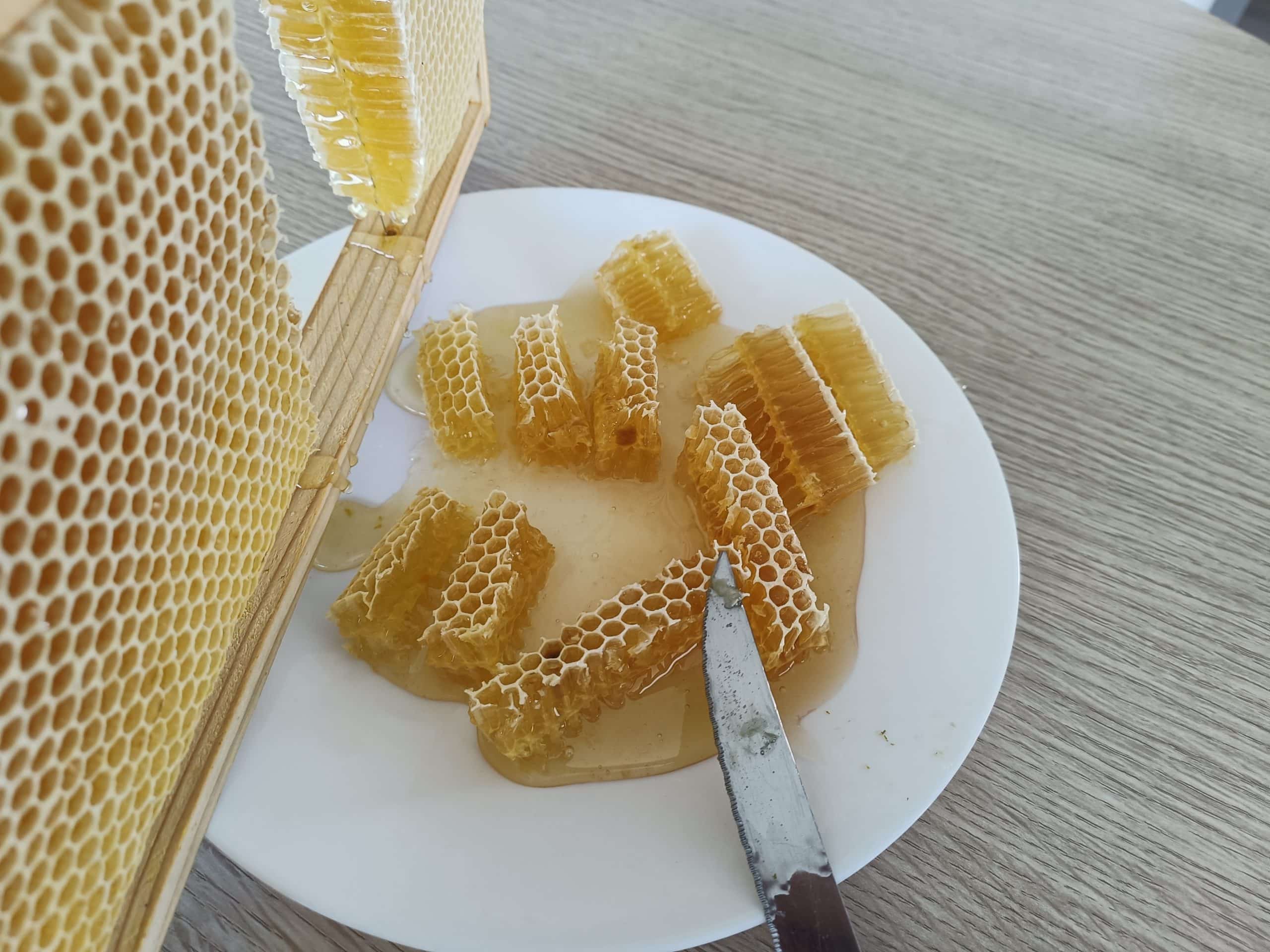 Degustation miel Orne Habitat 2
