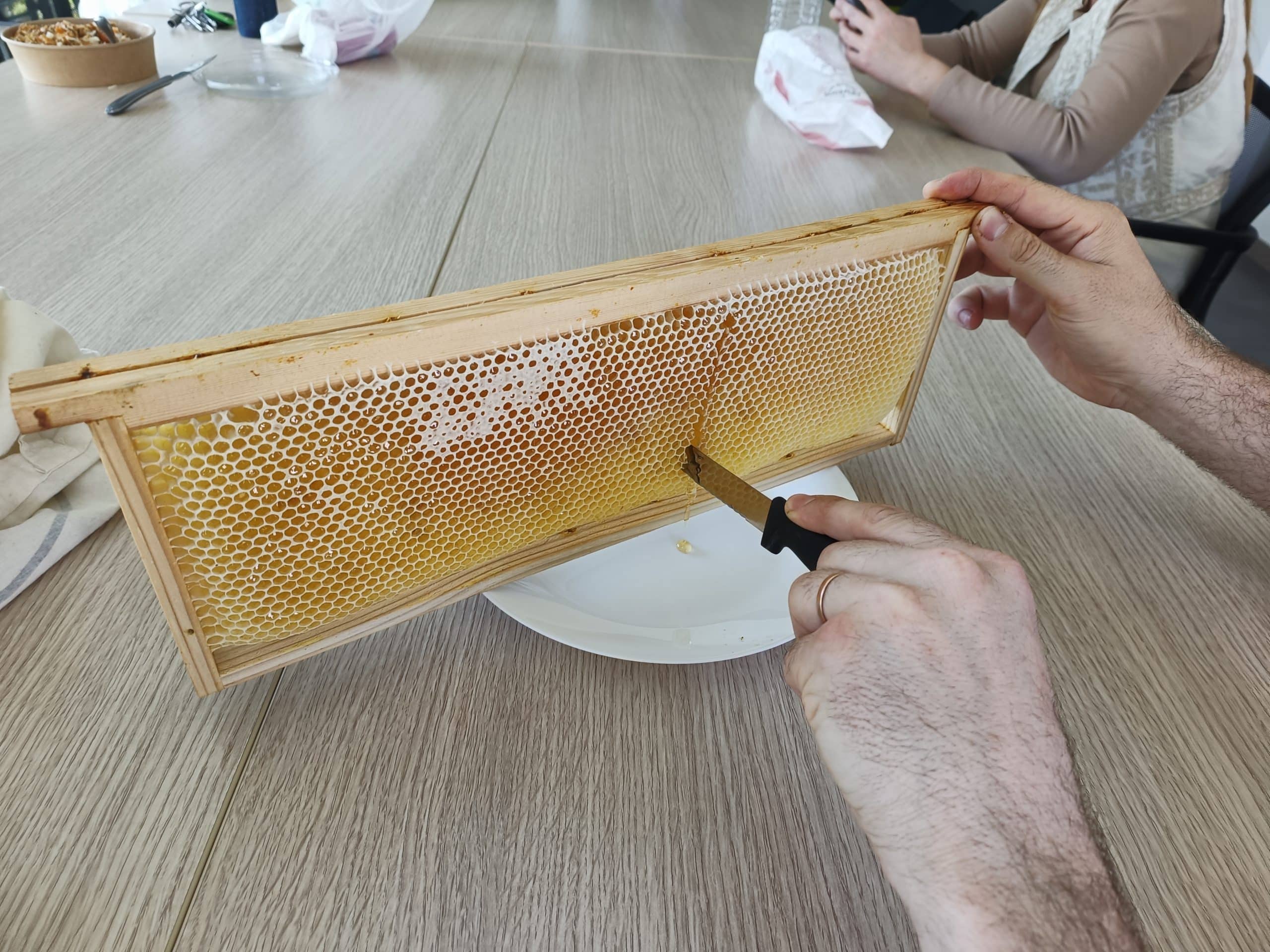 Degustation miel Orne Habitat