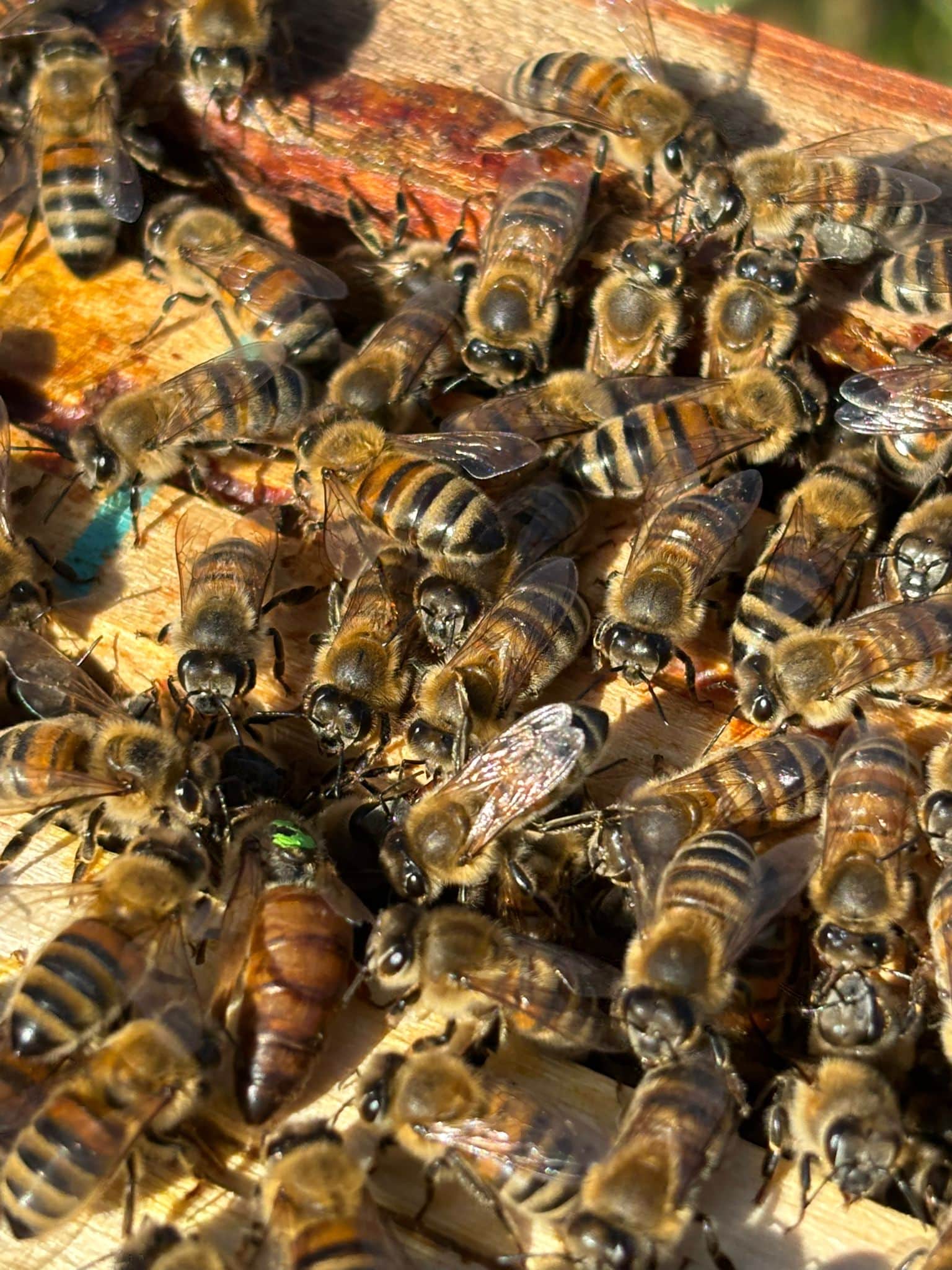 Visite du 23 avril