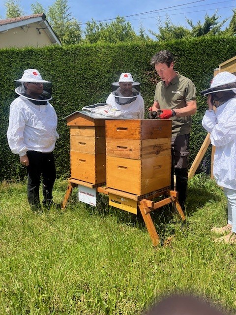 Image bee 1