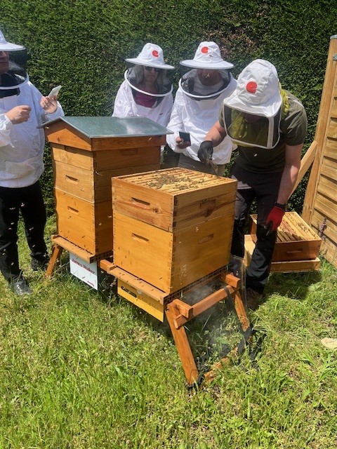 Image bee 4