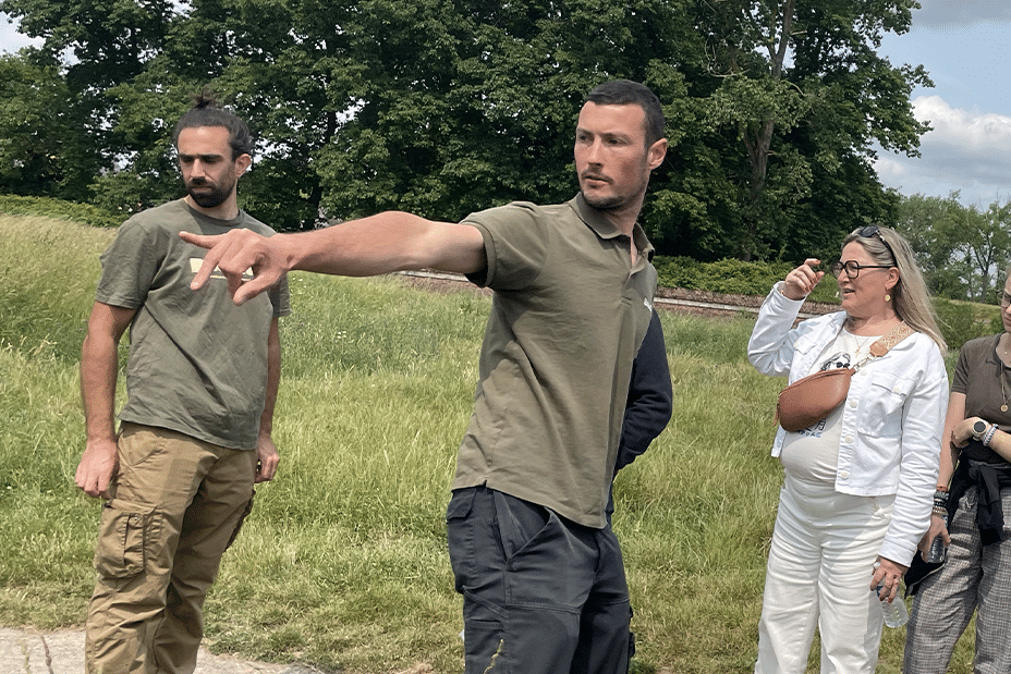 Un pissenlit isolé dans une pelouse verte