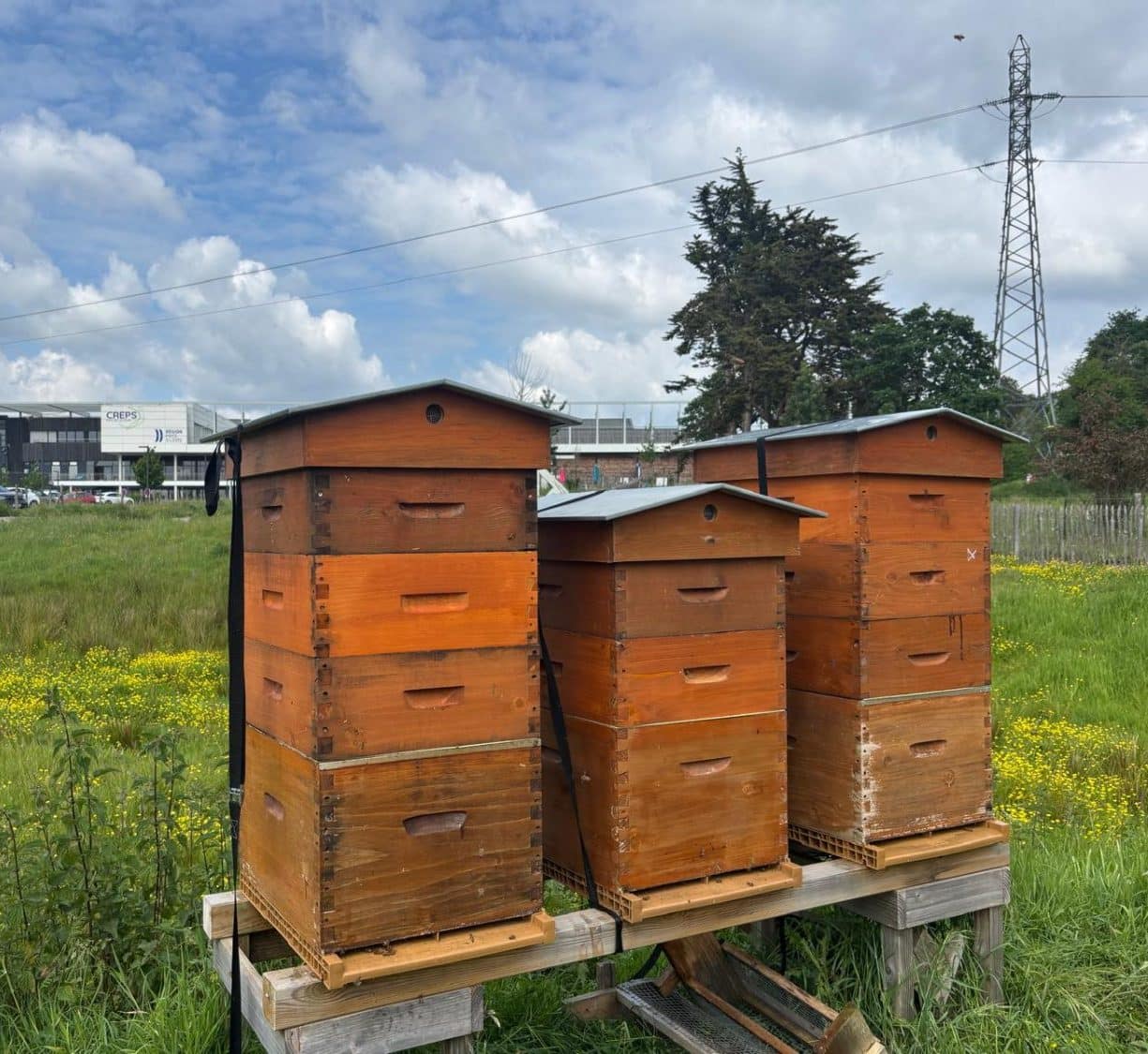 Un printemps généreux !