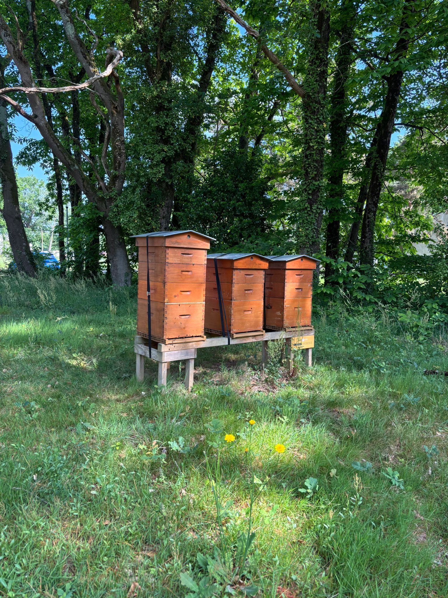 Un printemps généreux