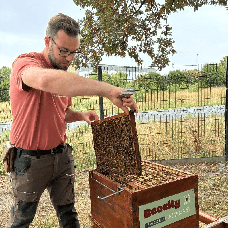 Photo de Sylvain, membre de BEECITY