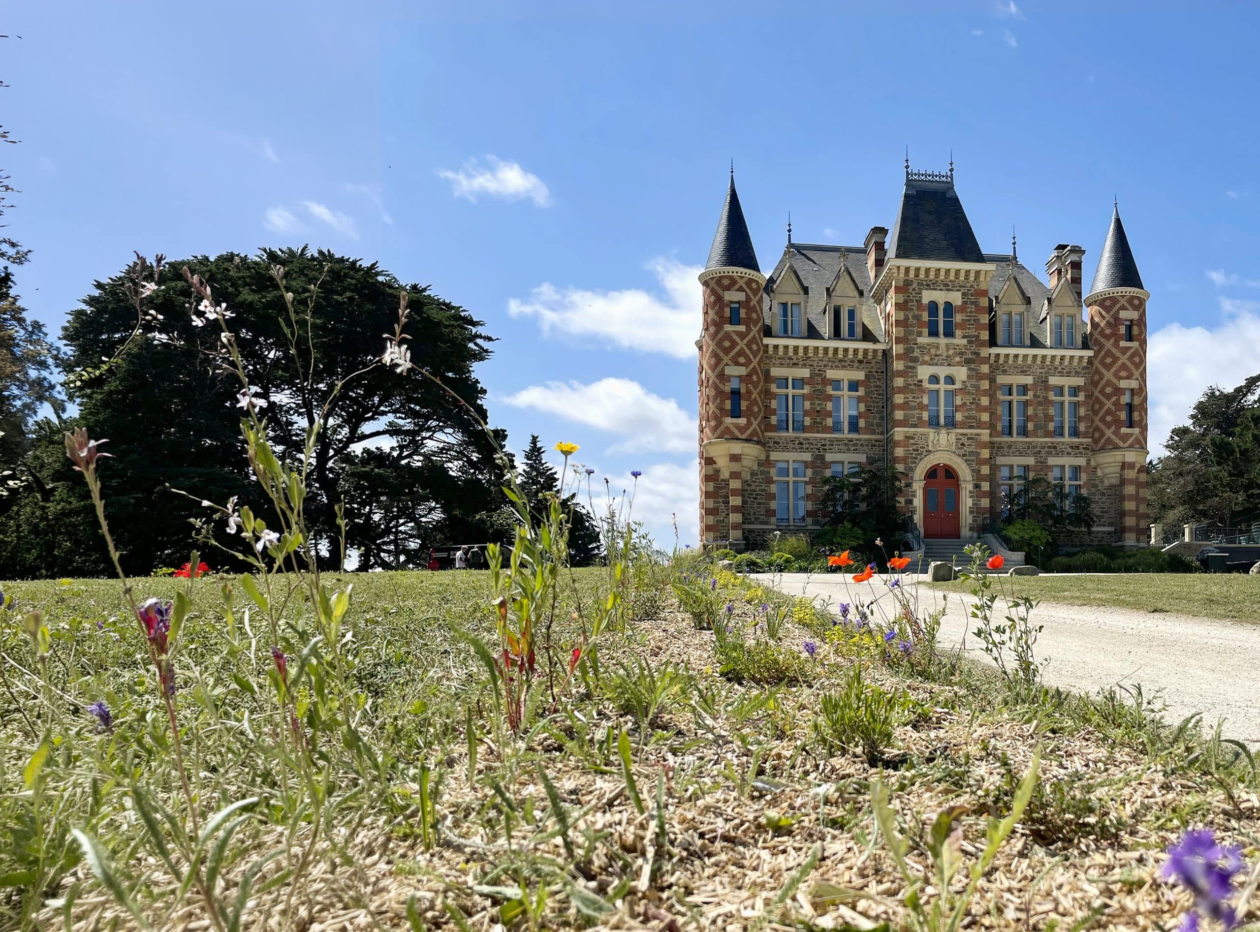 Le Nessay paysage juin 2026