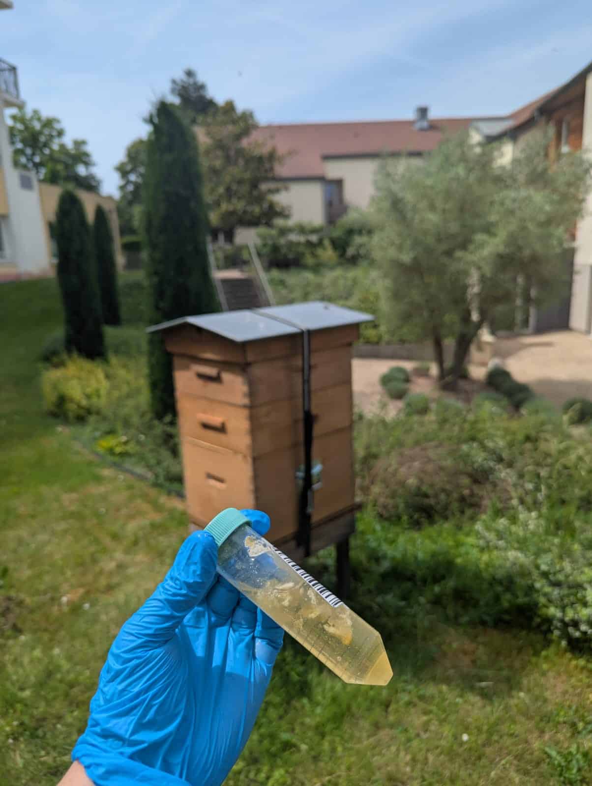 Étude de l’ADN Environnemental chez Maison du Parc.