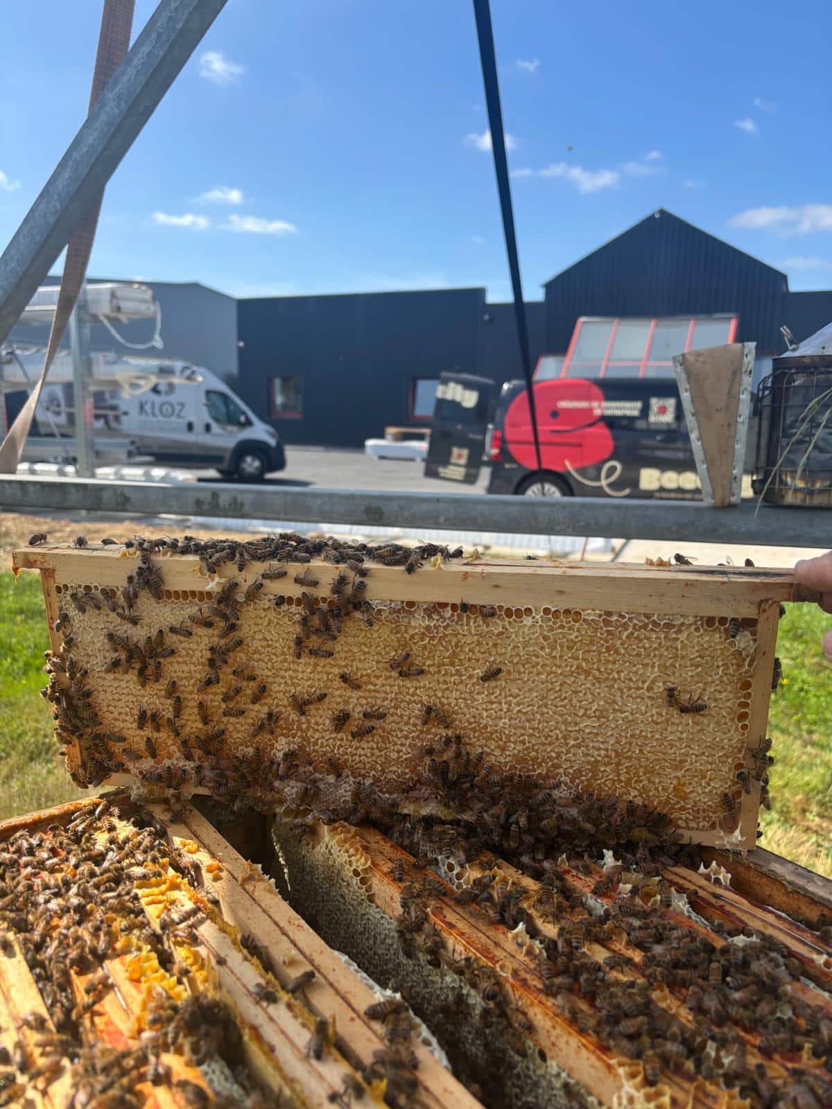 Bilan de fin de printemps