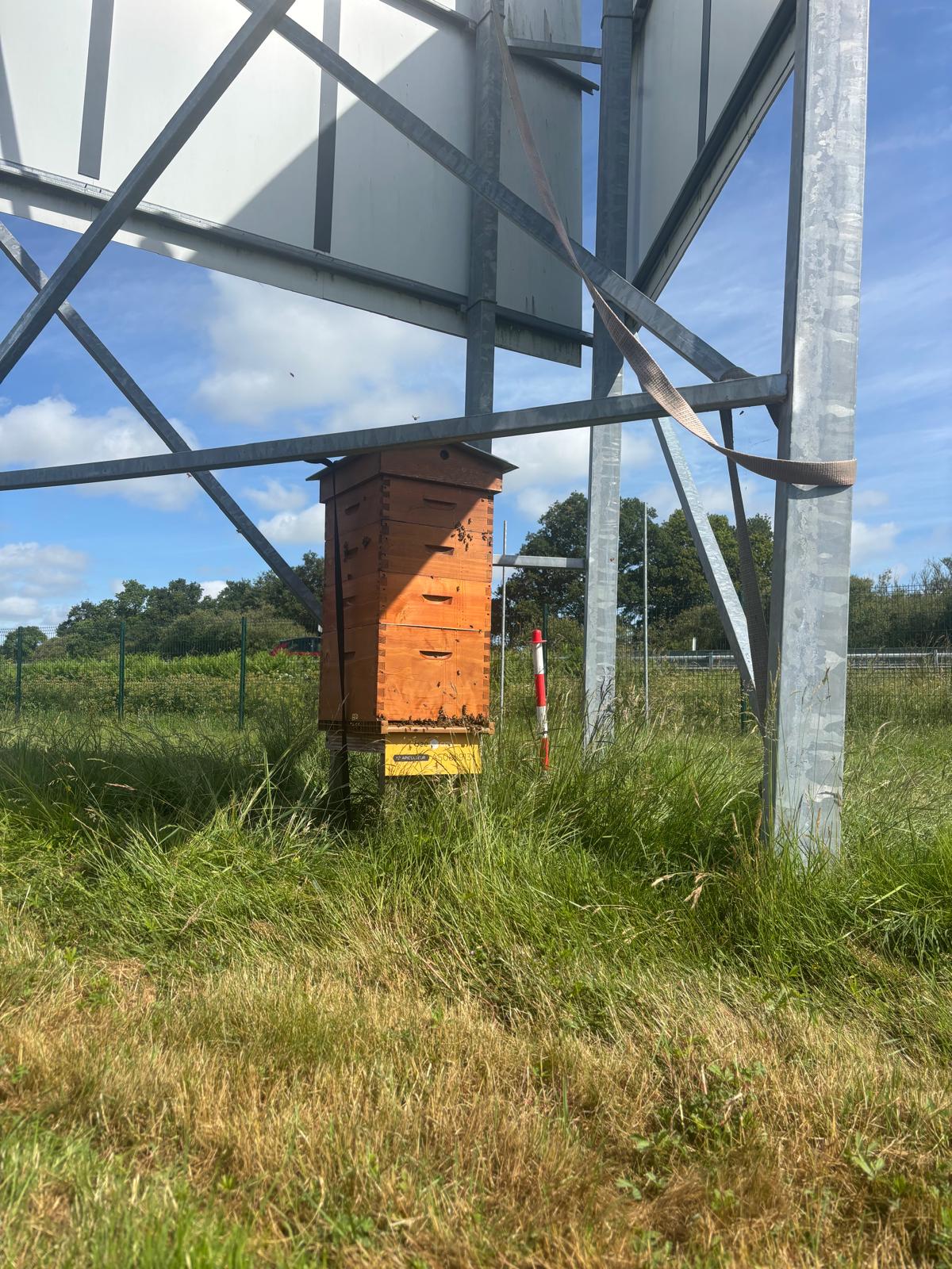 Bilan de fin de printemps