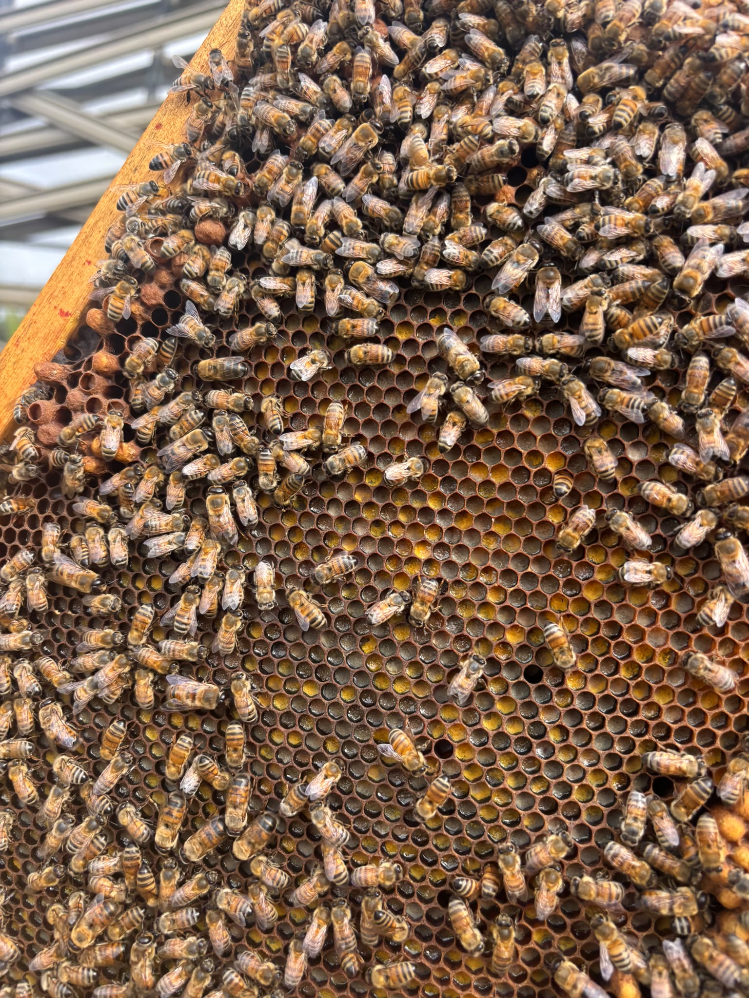 Bilan de fin de printemps