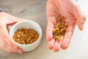 La propolis : origine, propriétés et rôle protecteur dans la ruche